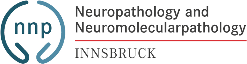 Institute of Neuropathology and Neuromolecular Pathology