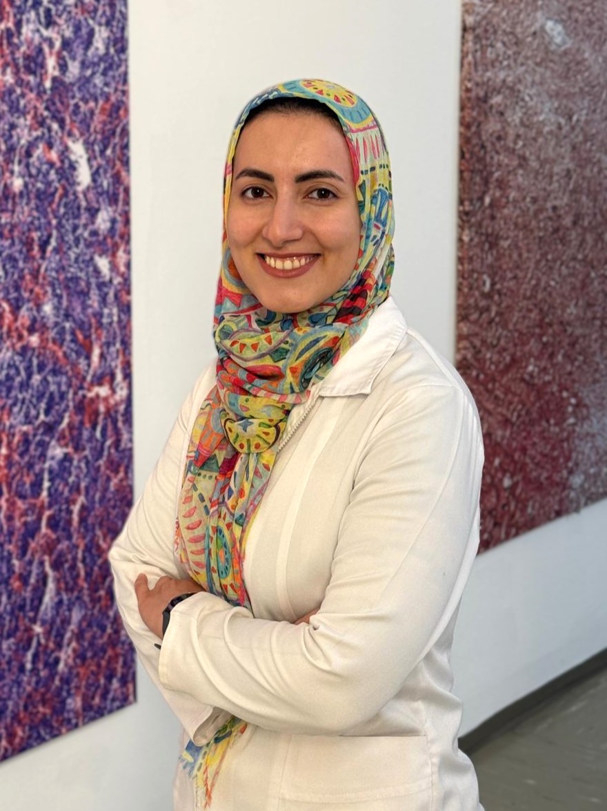 Nargess Shahbazi